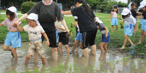 じゃがいも掘りと田植えをしました♪